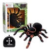 Elétrico / RC Animais Eletrônico Pet Controle Remoto Simulação Tarântula Olhos Brilham Inteligente Preto Aranha 4Ch Halloween RC Tricky Prank Brinquedo Assustador Presente X0828