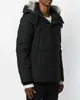 Мужской дизайнерский пуховик, зимние теплые пальто, канадский гусь, повседневная вышивка с буквами, пуховик для пар, канадские парки141