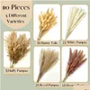 Dekorative Blumen Kränze 100 Teile/los Creme Pampas Gras Flauschigen Zimmer Phragmites Dekoration Natürlichen Hasenschwanz Getrockneter Blumenstrauß Boho Hom Dhjqe