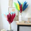 Decorative Flowers Dried Reeds Natural Plants Small Pampas Grass DIY Craft Bouquet Arrangement Wedding Party Decor Christmas For Home Table