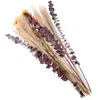 Decorative Flowers 34 Pcs Preserved Reed Decor Dried Pampasgrass Eternal Bouquet Wedding Prop Bohemian DIY Landscape