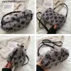 Nouveau hiver chaud en peluche sacs à bandoulière femme de luxe concepteur moelleux fausse fourrure sac à bandoulière pour les femmes chaîne sac à main et sac à main G2308288BF