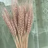 装飾的な花50PCS小麦天然乾燥センターピース