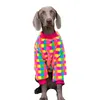 labrador dog costumi