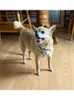 犬の首輪ペットパールネックレスカラーラインストンボーンチャームパピージュエリーアクセサリー雌犬の猫猫小さな媒体