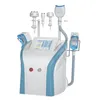 Särskild bantning RF 360 Multifunktionslaser 40K Cavitation Cryoterapi Cryo Body Fat Freat Freat Slimming Cryolipolysis