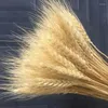 Decorative Flowers 50Pcs Real Wheat Ear Natural Dried Artificial That Look Like Wedding Centerpieces For Tables Pampas