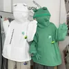 Hoodies masculins 2023 Automne Green Frog Frog Hoodie Haruku broderie à capuche Pullor surdimension