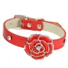 Hundtillbehör Ny produkt Rhinestone Rose Pet Collar Leather Neck Ring 828