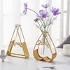 Vases Metal Flower Pot Stable Transparent Glass Vase Iron Stylish Appearance Holder Patio Home Decoration