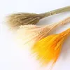 Decorative Flowers 50Pcs Real Wheat Ear Natural Dried Artificial That Look Like Wedding Centerpieces For Tables Pampas