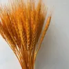 装飾的な花50PCS小麦天然乾燥センターピース