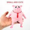 Dekompression leksaksleksak leksaker stress barn squishy office skrivbord dekomprimering piggy djur stretch pressa rosa pressande bollar simulering sensorisk boll 230827