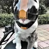 Accessoires Casque de moto pour animaux de compagnie en plein air moto vélo casque d'équitation chapeau pour chat chiot fournitures pour animaux de compagnie accessoires de moto accessoire de décoration