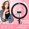 Selfie Ring Light Photography LED -lampor av LAMP POTO STUDIO -KIT Fotografitillbehör för Live Video Stream HKD230828