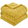 Battaniye düz renkli kış kalınlaşmış peluş battaniye pazen imitasyon kuzu swokool sıcak yumuşak yatak çift kral boyutu fırlatma 230828