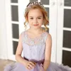 Vestidos de menina vestido de casamento infantil sem mangas desempenho renda aniversário pengpeng princesa bolo estilo longo