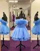 Vestido de coquetel de organza plissado 2k24 com babados em camadas júnior sênior baile de formatura concurso evento formal festa passarela black-tie gala vestido hoco pervinca azul claro