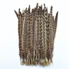 Autres outils à main 10pcslot plumes de queue de faisan femelle 25-30cm10-12 "plumes de faisan naturelles pour l'artisanat décorations de mariage décor de plumes 230828