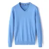 Men's Sweaters Spring Autumn Men VNeck Colored Cotton Thread Sweater Long Sleeve Jersey Jumper Pullover Ventilation Small Horse Knitted ToP 230828