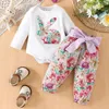 Kledingsets Peuter Meisjes Lange mouw Cartoon Bloemenprint Tops en broeken 2 STUKS Outfits Kleding Set Voor Baby Rompertjes Katoenen broek voor meisjes