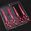 Schaar Schaar 70 Pet Grooming Schaar Set Japans staal Recht Gebogen Hond Kat Knippen Dunner Schaar Haarkam Hemostatische Tang Z3103 x0829