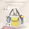 Trasportini per gatti Borsa per trasportini per animali domestici Borsa per cani portatile da viaggio per gattini Tessuto a rete traspirante adatto sia per viaggi lunghi che brevi