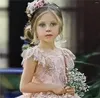 Flickaklänningar utsökta rosa bollklänningar Flower Girl Dress för bröllop 3d Floral Applices Toddler Pageant Sleeveless First Communion