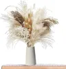 Decoratieve Bloemen Kransen 50-200 Stuks Crème Pampas Gras Pluizige Kamer Phragmites Decoratie Natuurlijk Konijn Staart Gras Gedroogde Bloemen Boeket Boho Home Decor 230828