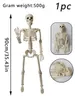 Objets décoratifs Figurines 1PC 35,43 pouces Squelette artificiel Squelette humain Simulation Structure simple humaine pour Halloween Trick Props 230828
