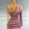 Plum Plus Size Mère de la mariée Robes à manches longues Appliqued Plis Sirène Mères Robe pour les mariages Robes de bal formelles élégantes