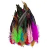 Andra handverktyg 15-20 cm Natural Pheasant Feather Crafts Diy Carnival Accessories 50pcslot Chicken Feathers Handikraftsmycken Decoration PLUMES 230828