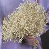 Dekorativa blommor kransar torkade blommor babys andas bukett elfenben vita blommor naturliga gipsophila grenar för heminredning bröllop borddekor blommor 230828