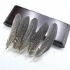 Other Hand Tools 20PcsLot Natural Pearl Chicken Spotted Pheasant Feather for Crafts 5-7inch13-18CM Feather Decor Decoration Plumas DIY Carnaval 230828