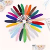 Décoration de fête Colorf Plume d'oie Petit couteau droit Plume DIY Colorf-Plume Garten Plumes faites à la main T9I001993 Drop Delivery Dhcr8