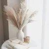 Couronnes de fleurs décoratives 30 pièces d'herbe de Pampa séchée, bouquet sec de qualité supérieure avec Pampa naturelle pour décoration de maison Boho, décoration de mariage, bricolage de petites plantes de roseaux 230828