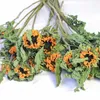 Decorative Flowers 6pcs Natural Real Dried Teddy Sunflowers Home Wedding Decor