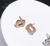 French Classic Zircon Horseshoe Clasp Earrings With Light Luxury Niche Design High-End Unique U-Shaped Charm Jewelry