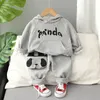 Autumn Toddler Boy Clothes Newborn Baby Kids Boys Clothes Tops Hoodie Pants 2 Pcs suits kids clothes