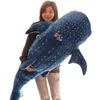 Plush Dolls 50100CM Cartoon Blue Shark Stuffed Plush Toys Big Fish Whale Baby Soft Animal Pillow Dolls Children Birthday Gifts 230828