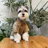 Jaqueta para cachorro de estimação, camisa outono schnauzer poodle estampa de pelúcia casaco para animais de estimação à prova de vento roupas quentes da moda para cachorros e gatinhos