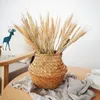 Decoratieve Bloemen Kransen 100 stks Natuurlijke Gedroogde Bloem Tarwe Oren Boeket Voor Bruiloft Huwelijk Feest Decor DIY Ambachtelijke Kerst Decoraties Voor Thuis Kamer 230828