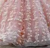 Flickaklänningar utsökta rosa bollklänningar Flower Girl Dress för bröllop 3d Floral Applices Toddler Pageant Sleeveless First Communion