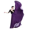 Stage Wear Double Layer Chiffon Casual Maxi Dress Summer Holiday Flamenco Skirts Womens Big Swing Colorful Long Dance Skirt 2023