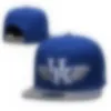 2023 Tüm Team Fan's NCAA USA Kolej Beyzbol Ayarlanabilir Şapka Karışımı Renkler Bir Beden Mor Mavi Kırmızı Renk Düz Fatura Baskı Snapback Caps Bone Chapeau