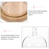 Storage Bottles Clear Holder Pan Pans Cloche With Wooden Base Cake Stand Glass Display Dome Mini For Dessert Cheese