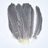 Other Hand Tools 20PcsLot Natural Pearl Chicken Spotted Pheasant Feather for Crafts 5-7inch13-18CM Feather Decor Decoration Plumas DIY Carnaval 230828