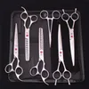 Tesoura Tesoura 70 ''Gato Pet Grooming Desbaste Profissional Cão Curvo Hemostático Fórceps Pente Corte de Cabelo Z3002 230828