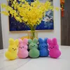 Plüschpuppen 38 cm 15 cm Peeps Plüschhase Kaninchen Peep Ostern Spielzeug Simulation Stofftierpuppe für Kinder Kinder Weiches Kissen Geschenke Mädchenspielzeug 230828