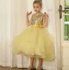 Girl Dresses Sequin Bow Flower Dress Tulle Skirt Belt Applique Wedding Elegant Child's First Eucharist Birthday Party